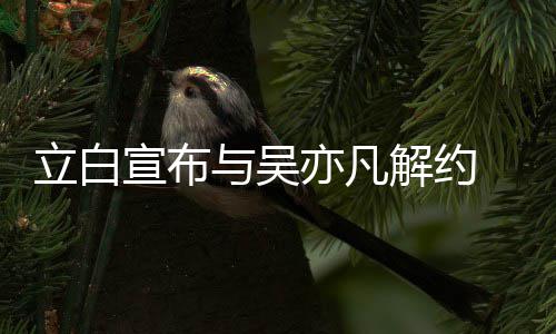 与吴亦凡立白宣布牌合 停止品作解约