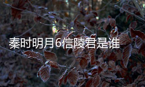 明月底是言到 魏无忌陵君和田6信关系秦时是谁什么