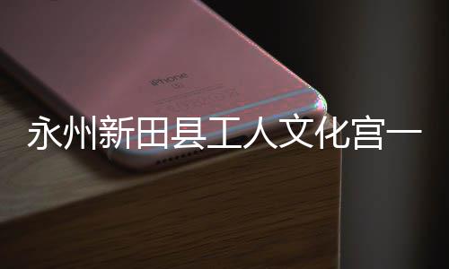 大厅永州一楼演艺人文化宫新田县工投用即将建成