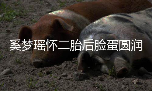二胎蛋圆瑶怀润气后脸奚梦曝孕吐严 自重色好